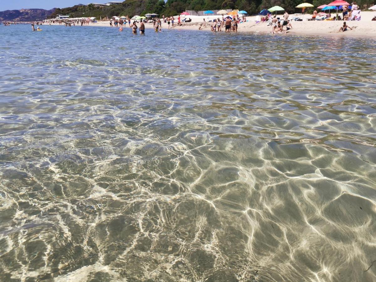 Deliziosa Villetta Sul Mare Appena Ristrutturata Пула Екстер'єр фото