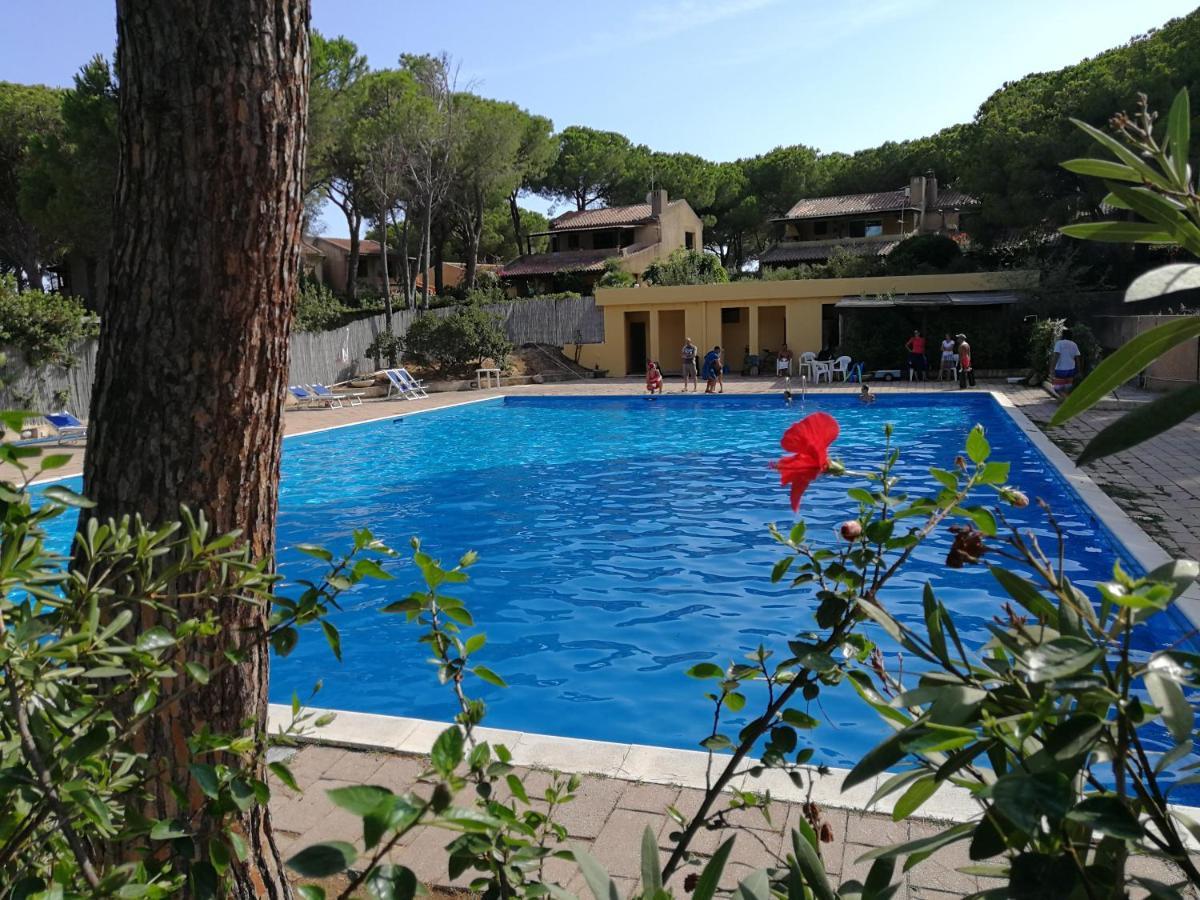 Deliziosa Villetta Sul Mare Appena Ristrutturata Пула Екстер'єр фото
